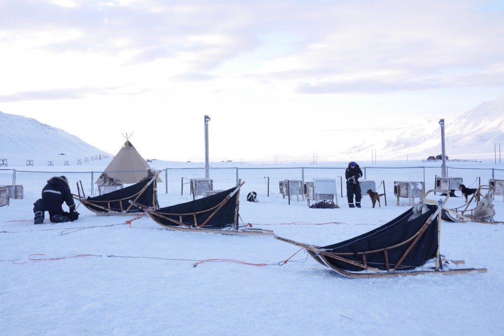 Vi måtte ordne våre egne sleder, og sele opp og ned hundene i hundegården før og etter turen. Foto: Magne Mellem Enoksen